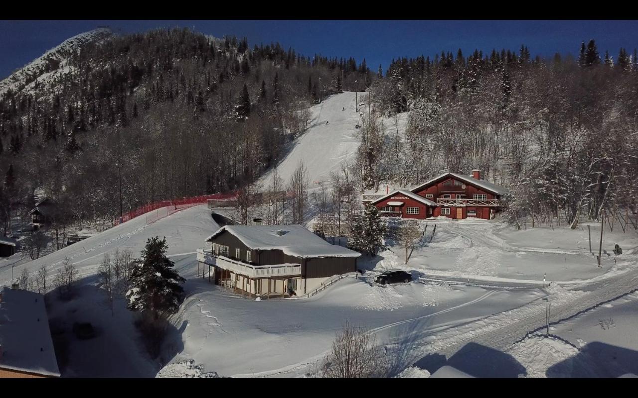Berggatan Villa - Lagenhet 1 Funäsdalen Exterior foto